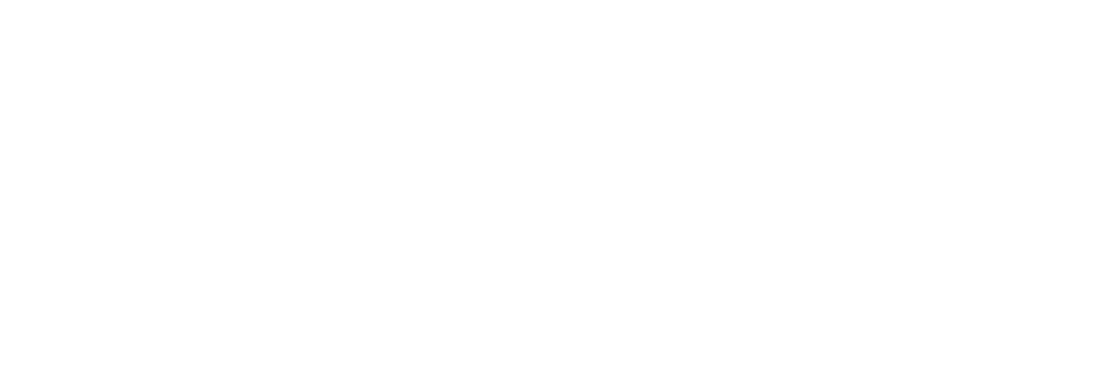 Rinaudo Team Service